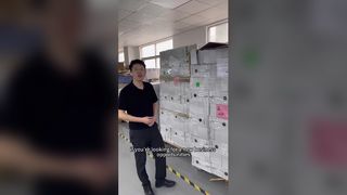 Ionic Hair Dryer: 110K RPM Fast Dry & Quiet