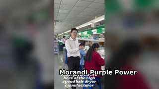 Luckier Hair Dryer Morandi Purple 110K RPM